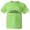 Kiwi, variant on ™ Youth Virtue Patience Grasshopper Shogun Kung Fu HQ Tee