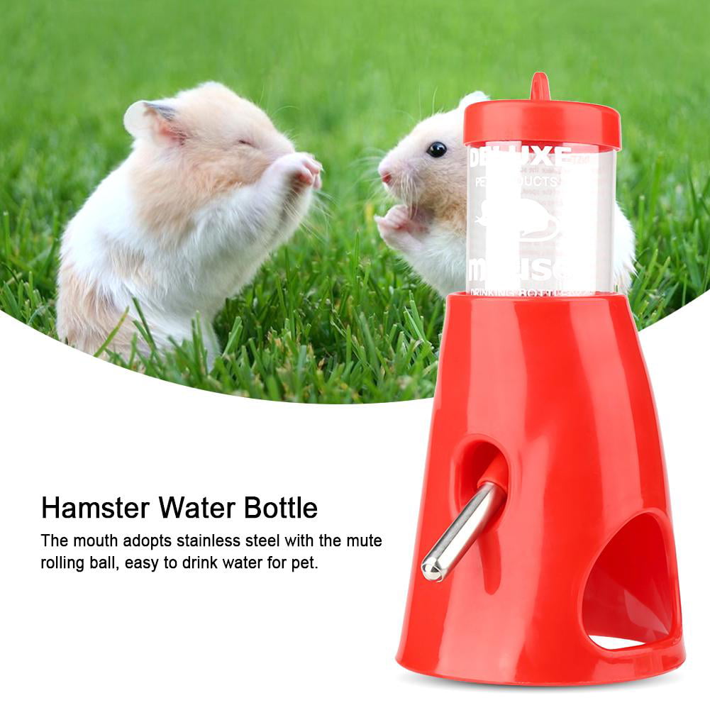 hamster with water bottle