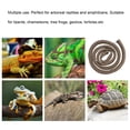 thumbnail image 3 of Jungle 3.28ft Reptile Climbing Branch, Reptile Flexible Branch, Climbing Branch For Reptiles, 3 of 8
