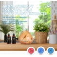 thumbnail image 2 of Aromatherapy Patchouli Essential Oil for Diffuser, 100% Pure Patchouli Oil for Soap Making, 100ml Aromatherapy Essential Oil Patchouli for DIY Bath Bombs, 3.3oz Pure Patchouli Oil for Massage, 2 of 6
