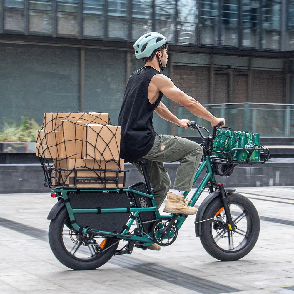 Fiido T2 Black Cargo Electric Bike Class 3 Long Tail Ebike 750W 20Ah Removable Battery E-Bike