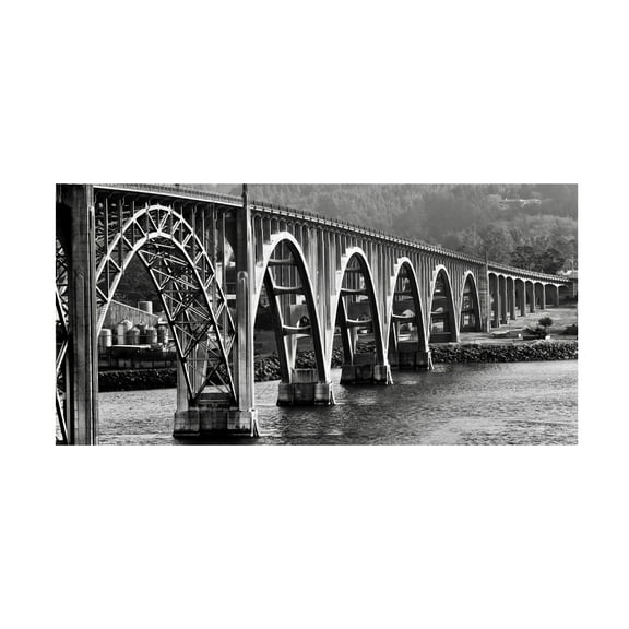 Susan Vizvary Photography 'Oregon Bridge in Black and White' Canvas Art