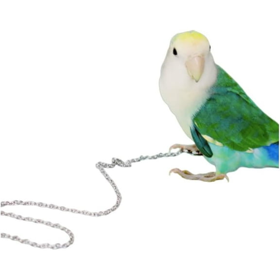 XiHAMA Bird Foot Chain Flying Stainless Steel Training Rope Outdoor Parrot Ankle Foot Ring Accessories Bird Harness Leash Prevent Escaping