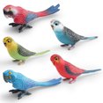 thumbnail image 1 of Set de figuras realistas con forma de loro y periquito, 5 unidades, decoración infantil, 1 of 3