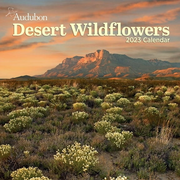 Audubon Desert Wildflowers Wall Calendar 2023: A Visual Delight for Nature Lovers and Gardeners Alike, 9781523517565, 1523517565, Paperback,