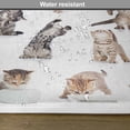thumbnail image 5 of Ambesonne Cat Place Mats Set of 4, Funny Playful Cats Image, Standard Size, Brown Black White, 5 of 5
