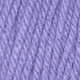 thumbnail image 3 of Caron One Pound Lavender Blue Yarn - 2 Pack of 454g/16oz - Acrylic - 4 Medium (Worsted) - 812 Yards - Knitting/Crochet, 3 of 7