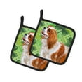 thumbnail image 1 of Carolines Treasures BB9837PTHD Cavalier Spaniel St.Patricks Paire de Porte-Pot, 1 of 4