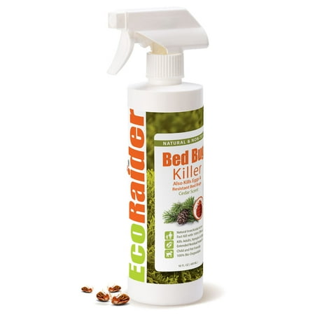 EcoRaider Natural Bed Bug Killer 16 OZ - Walmart.com