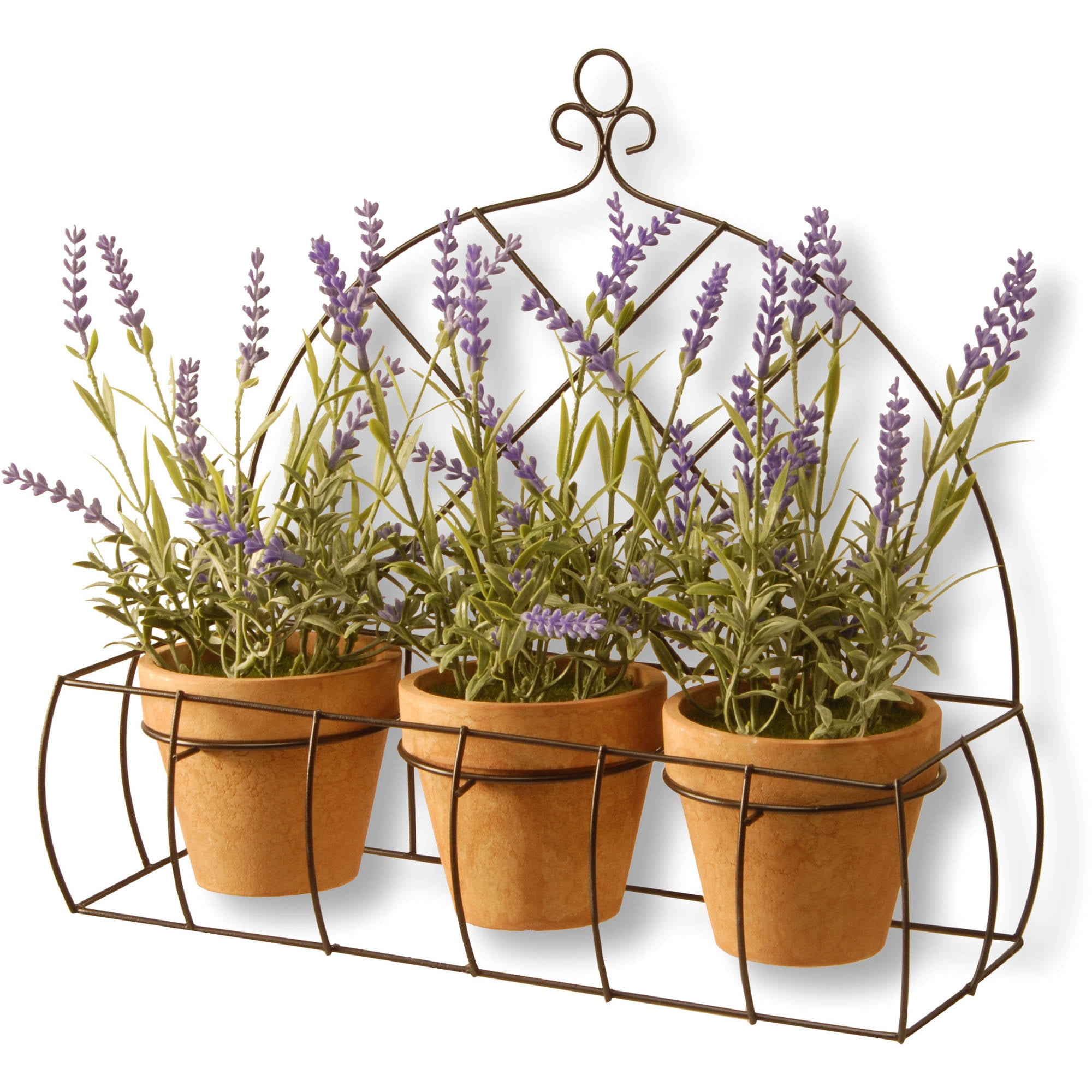 17" Potted Lavender Plants in Decorative Rack
