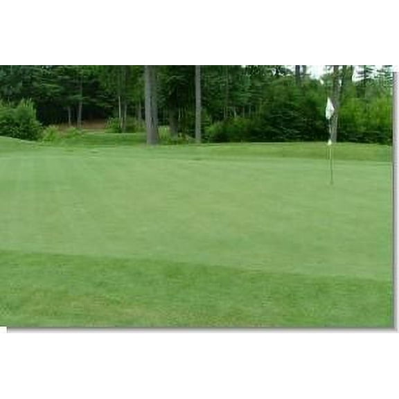 SeedRanch Creeping Bentgrass Seed - 5 Lbs.