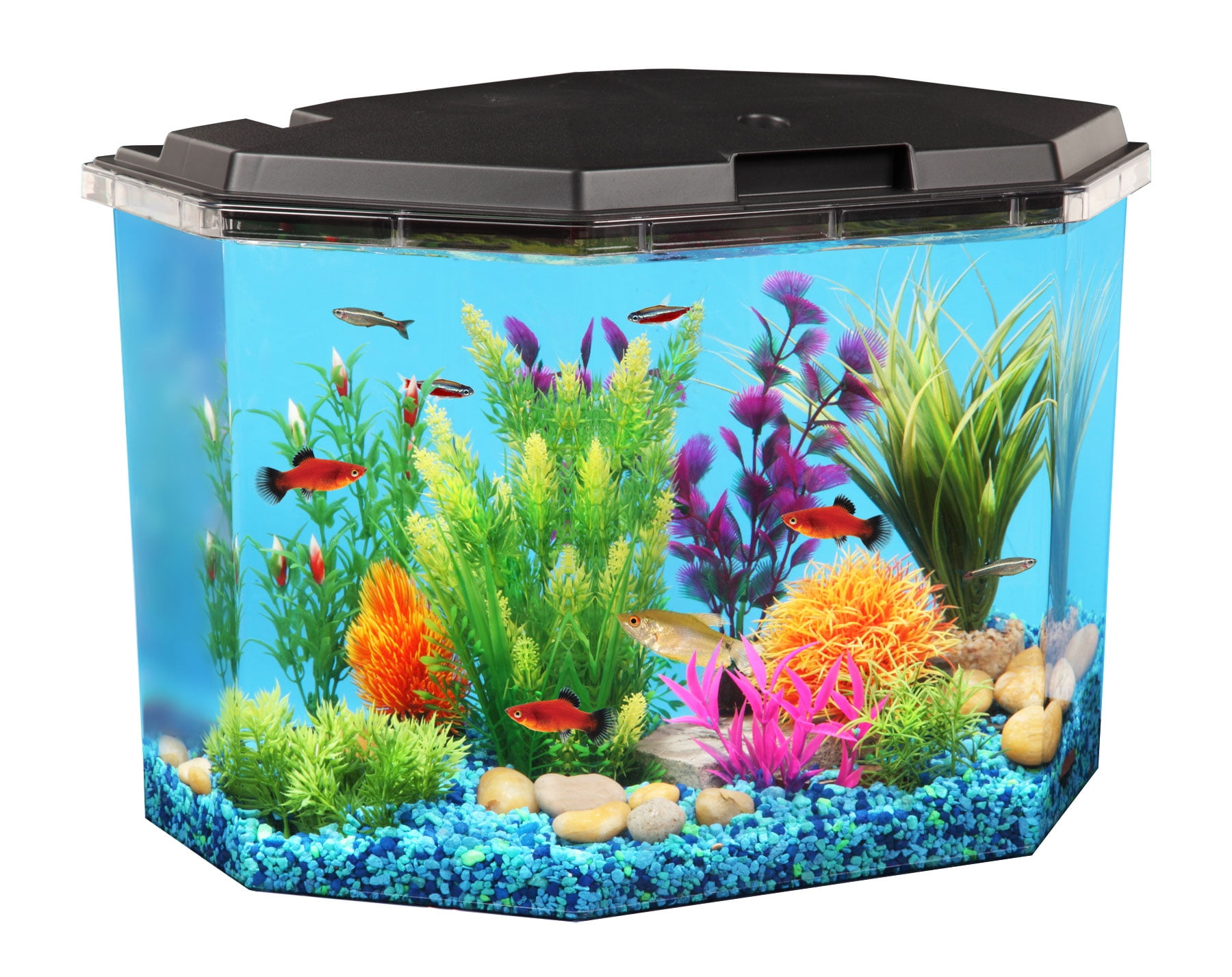 10 gallon goldfish aquarium kit 10 gallon goldfish aquarium kit