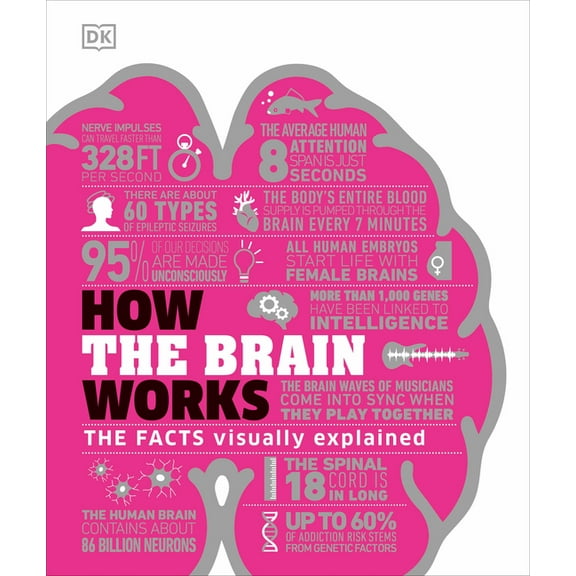 DK How Stuff Works How the Brain Works: The Facts Visually Explained, (Hardcover)