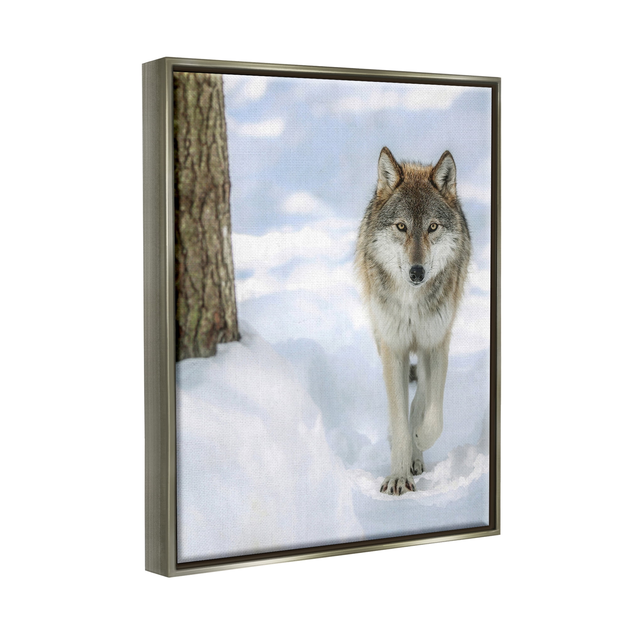 Stupell Industries Wild Wolf Winter Snow Photography Animals & Insects Photography Gray Floater Framed Art Print Wall Art