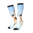 thumbnail image 2 of Saiise Bluey Funny Socks Men Women Boys Kids Adults Novelty Graphic Crew Tube Socks Crazy Design Casual Dress Socks for Sports,Running,Travel, 2 of 7