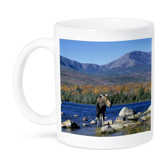 3dRose, Cow moose wildlife, Mt. Katahdin, Baxter SP, Maine - US20 HGA0005 - Howie Garber, 11oz Mug