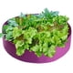 thumbnail image 3 of Inteprter Cama de planta elevada, caja de cultivo para jardín, bolsa, macetero de flores, vegetales elevados Jardín y Patio púrpura L, 3 of 6