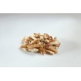 thumbnail image 2 of Chicken of the Sea Refrigerated Pasteurized Crab Meat, Claw, 16 oz Steel Can - Refrigerated, Contains Shellfish, 2 of 6