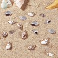 thumbnail image 3 of Colgantes en espiral Charm SUNNYCLUE con forma de concha de cauri, 16 unidades, dorados, 3 of 7