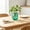 🌻 Green#487, variant on Planter Pot,Hydroponic Self Watering Diamond Shaped Plastic Plant Container for Indoor Office Decor, Transparent Lazy Watering Flower Basin