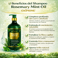 thumbnail image 2 of Shampoo Rosemary Mint Oil 800ml, Crecimiento Capilar, Fortalece la Raíz, Romero y Aceite de Menta, Antifrizz, Brillo Natural e Hidratación Profunda, 2 of 4