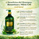 thumbnail image 2 of Shampoo Rosemary Mint Oil 800ml, Crecimiento Capilar, Fortalece la Raíz, Romero y Aceite de Menta, Antifrizz, Brillo Natural e Hidratación Profunda, 2 of 4