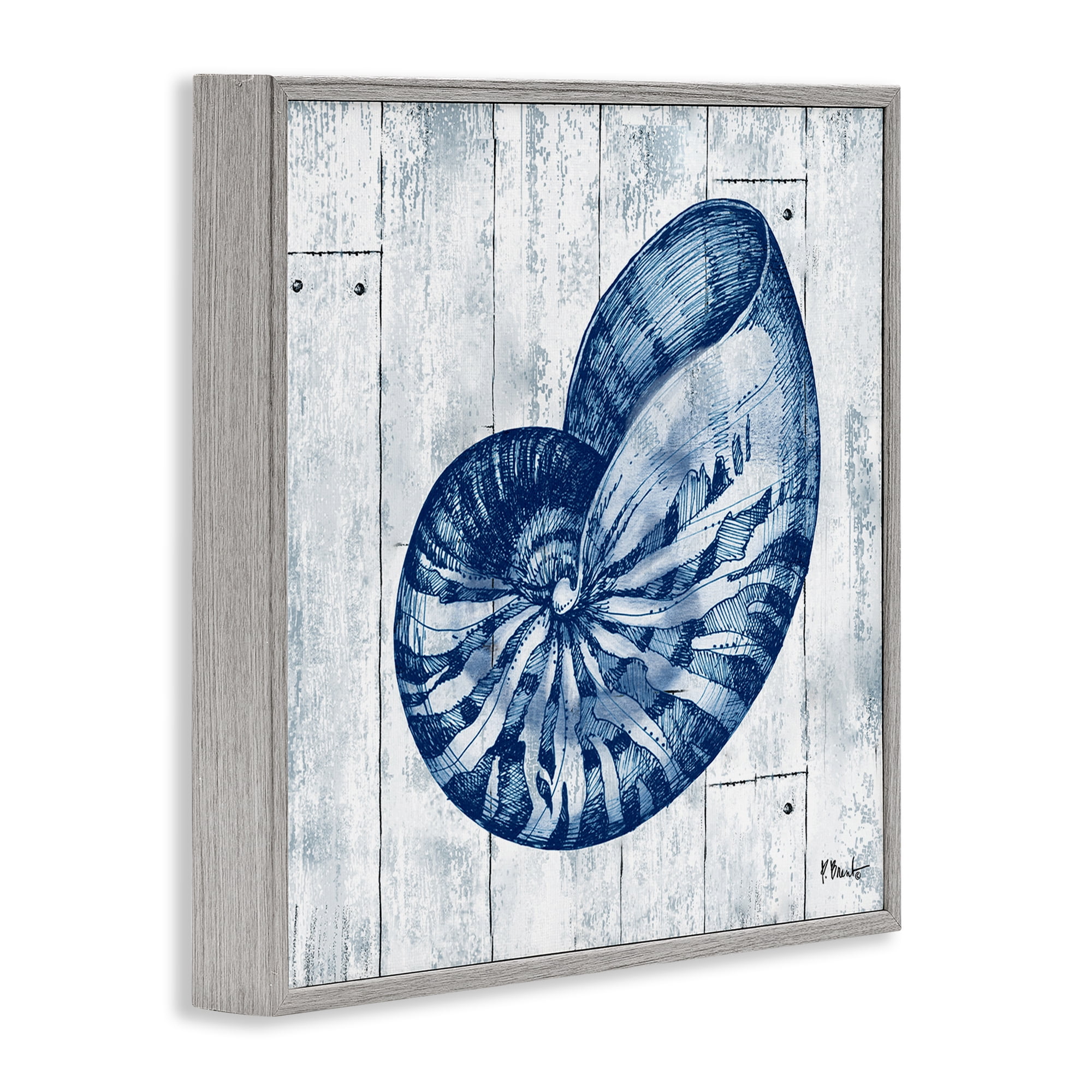 Stupell Industries Coastal Timberland Nautilus Gray Framed Giclee Art, design by Paul Brent
