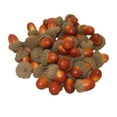 thumbnail image 1 of CIMAXIC christmas 50pcs Artificial Lifelike Small Acorn Photo Props False Nuts Home Kitchen Decor Light Color,1.18"X0.71"X0.71", 1 of 5