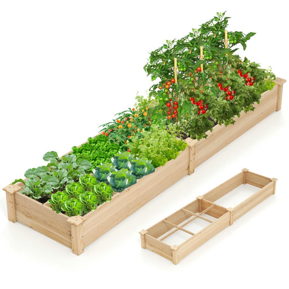 GVN Planter Garden Boxes Outdoor,Wooden Raised Garden Bed with 2 Planter Boxes and Dividers-Natural