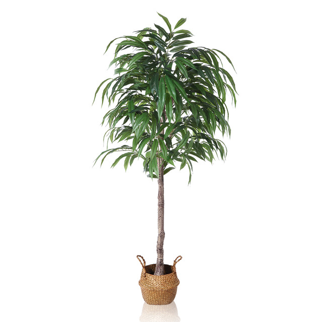 Buy 5FT Artificial Silver Willow Tree in Basket, Fake Willow Silk Plant