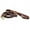 Brown, variant on Dean & Tyler Leather Dog Walking Leash with Braided Accents Love to Walk