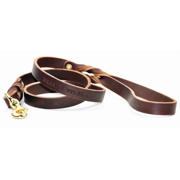 Dean & Tyler Leather Dog Walking Leash with Braided Accents Love to Walk