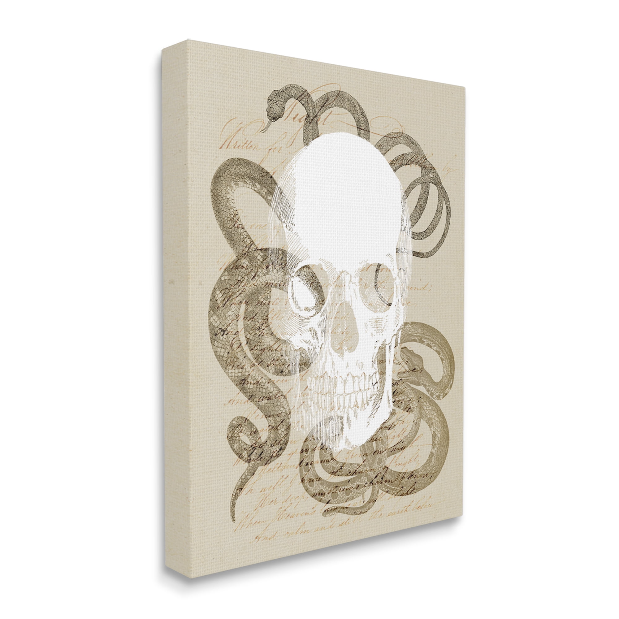 Stupell Industries Skull & Snake Vintage Script Animals & Insects Painting Gallery Wrapped Canvas Art Print Wall Art, 36 x 48