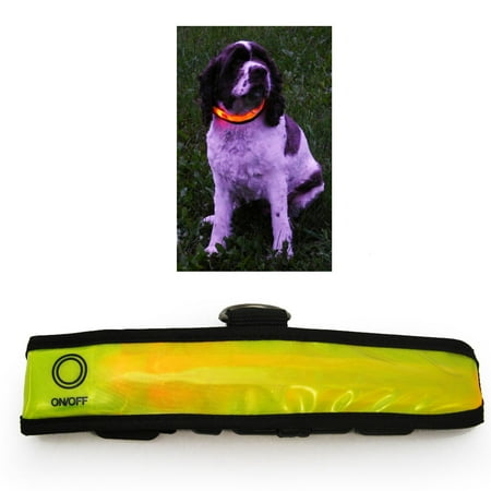 Light Up Dog Collar Walmart Light Up Dog Collar Walmart