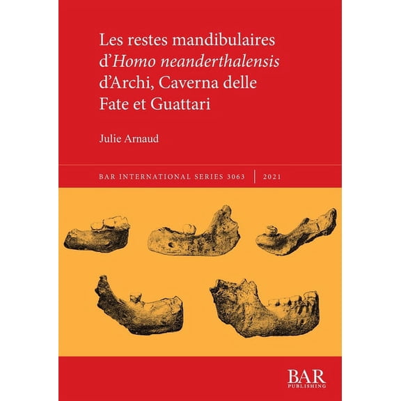 International: Les restes mandibulaires d'Homo neanderthalensis d'Archi, Caverna delle Fate et Guattari (Paperback)