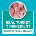 thumbnail image 6 of Purina ONE Plus Dry Cat Food Sensitive Skin & Stomach, Natural Turkey, 22 lb Bag, 6 of 12