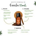 thumbnail image 4 of Aceite Esencial de Canela OLEUM VITAE 100% Puro y Organico 15ml, 4 of 4