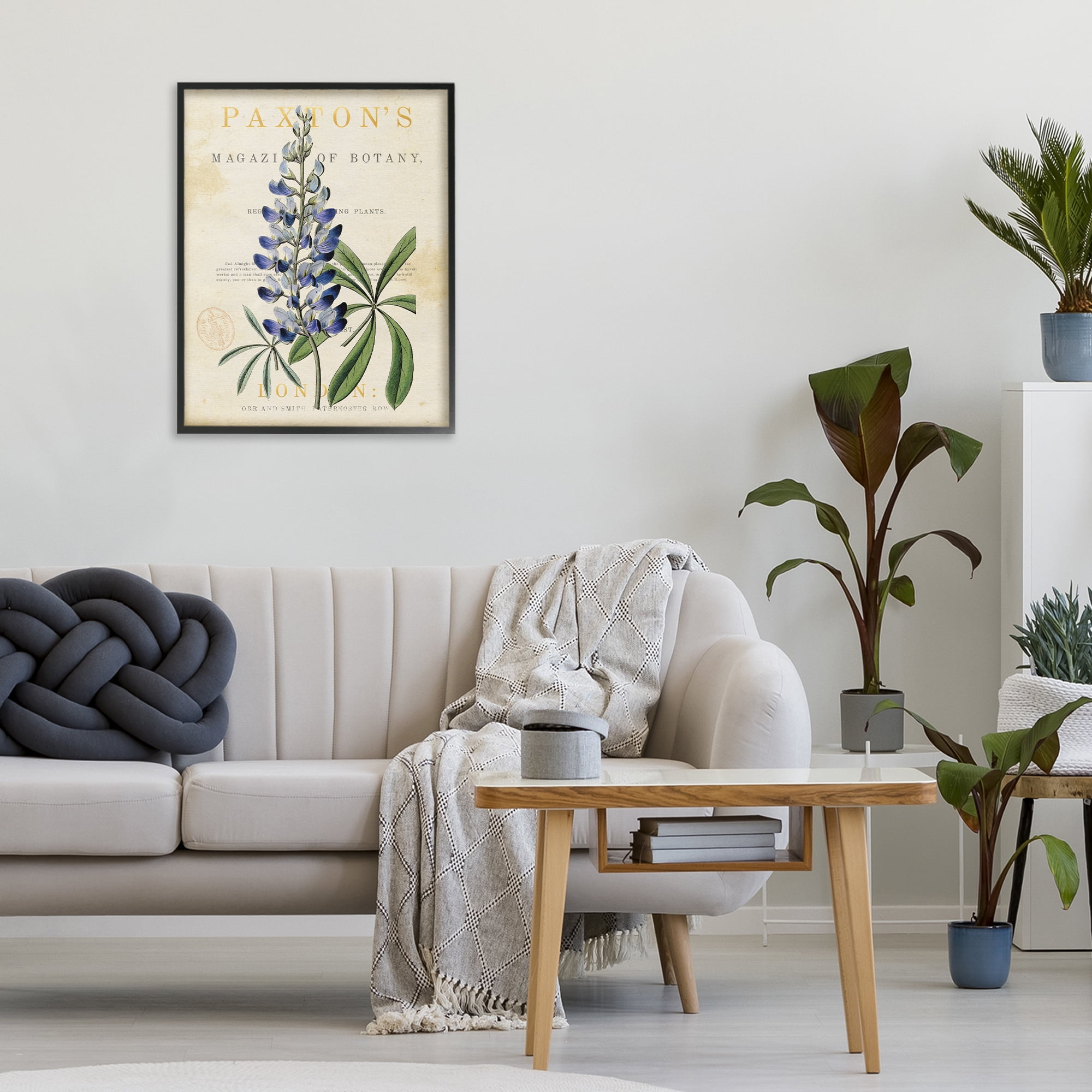 Stupell Industries Natural Botany Lupine Black Framed Giclee Art, design by Susan Arnot