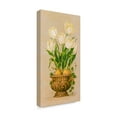 thumbnail image 2 of Trademark Fine Art ' Bulbs in Bloom' Canvas Art by Barbara Mock, 2 of 3
