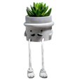 thumbnail image 1 of Decoración artificial de plantas pseudosuculentas en maceta compatible con estantería B, 1 of 5