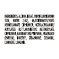 thumbnail image 2 of NEXXUS MAXXIMUM Control, Finishing Mist 10 oz (Pack of 2), 2 of 4