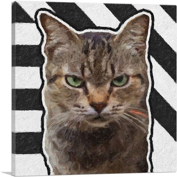 ARTCANVAS American Shorthair Cat Breed Grumpy Canvas Art Print - Size: 18" x 18" (0.75" Deep)