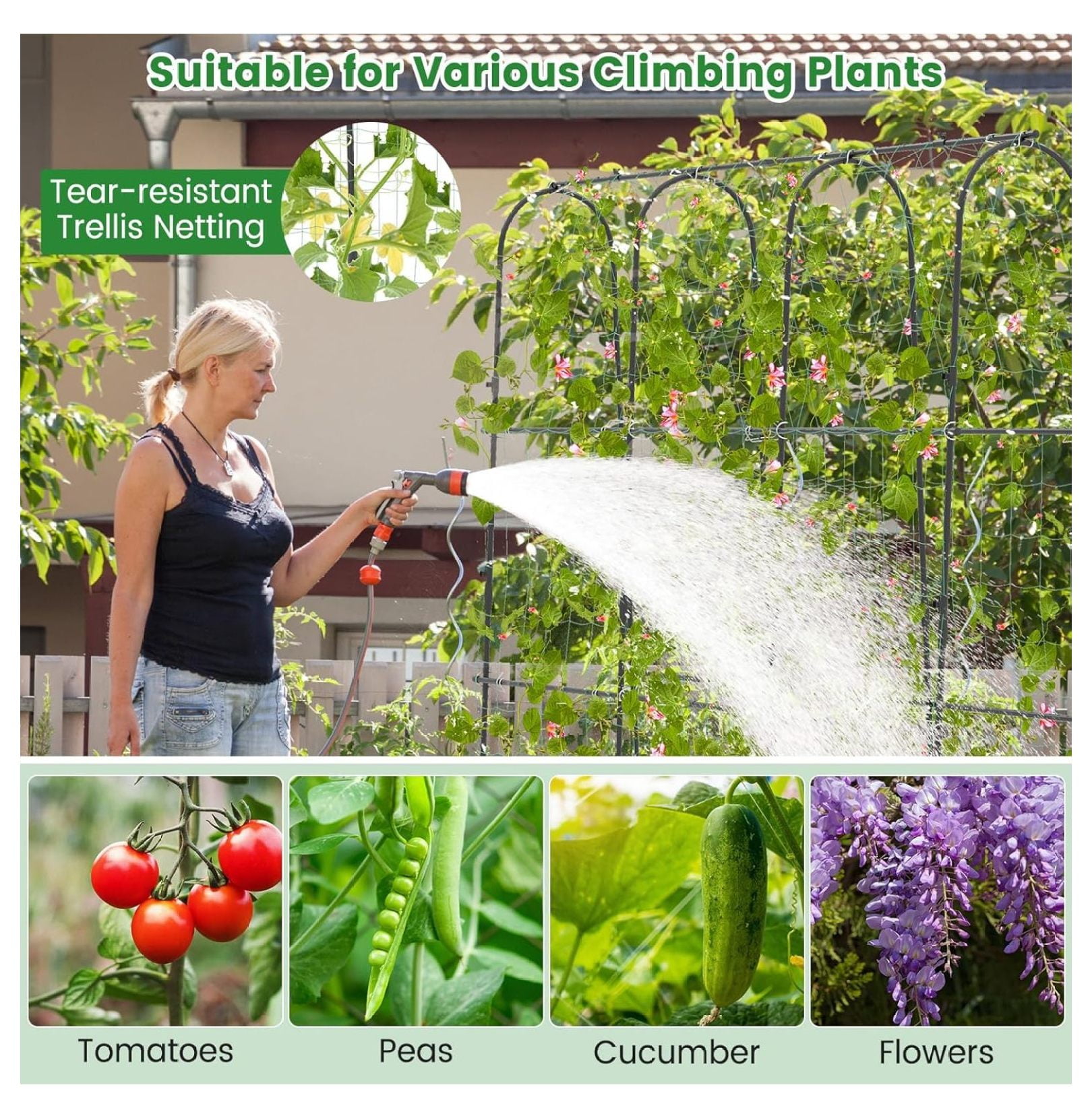 71" x 71" Cucumber Trellis for Raised Bed, Garden Arch Trellis Metal Plant Support Frame with Netting, Sure-Clips & Ground Stakes, U-Shaped Garden Trellis for Climbing Plants Outdoor