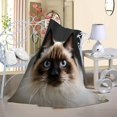 thumbnail image 3 of Cat Blanket, Cute Cat 3D Printing Throw Blanket, Soft Fluffy Flannel Blankets, 3 of 8