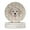 Multicolor, variant on Small Greek Domestic Dog Merry Christmas Large Sandstone Coasters Pack of 4 4 in x 4 in