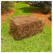 Premium USA Long Needle Pine Straw Mulch for Yard and Garden - Natural ...