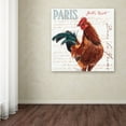 thumbnail image 4 of Trademark Fine Art "Dans la Ferme Rooster II" Canvas Art by Jennifer Redstreake, 4 of 4