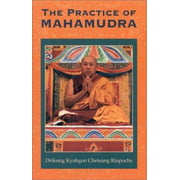 The Practice of Mahamudra [Paperback - Used]
