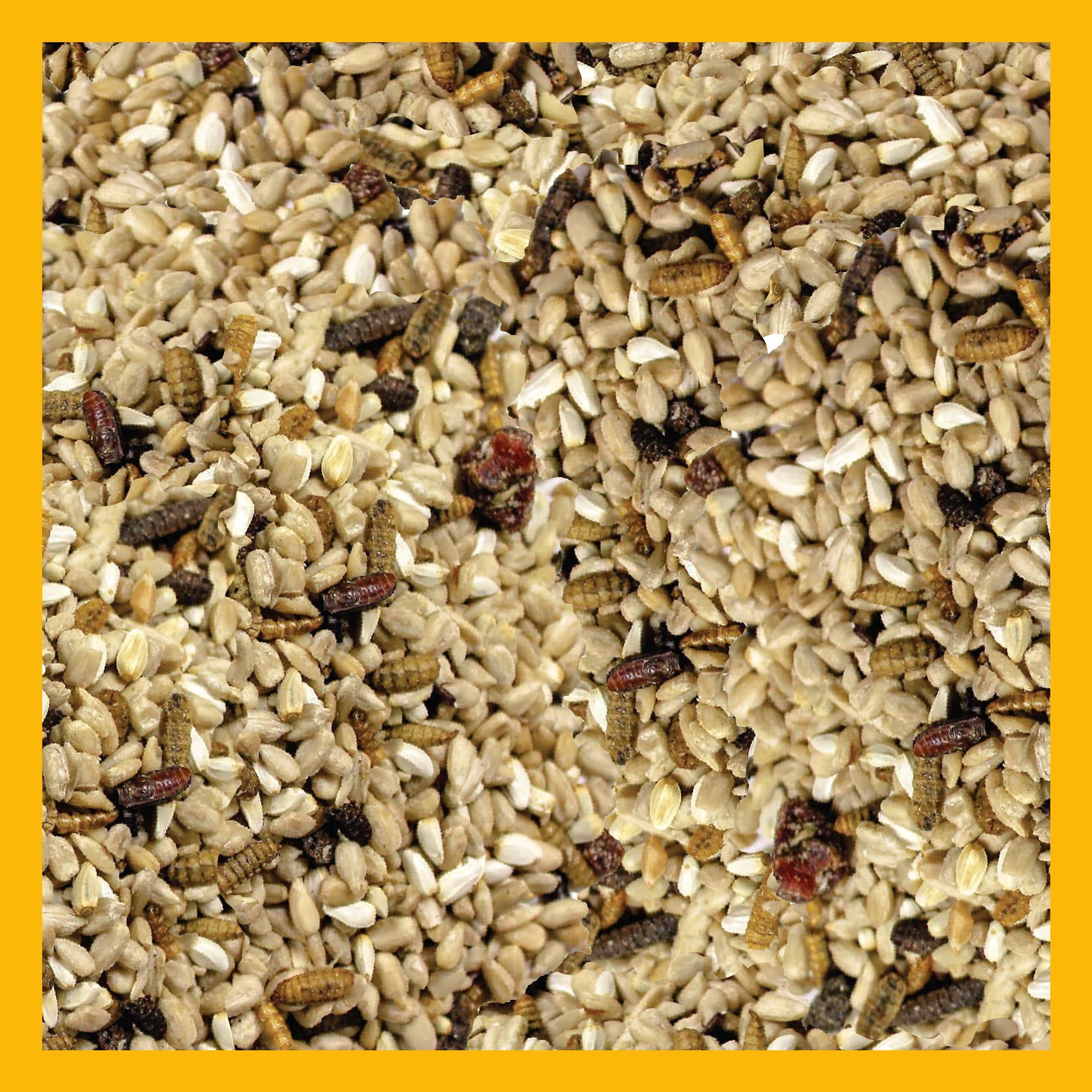 3-D Pro Blends Bugs N Berries® Wild Bird Food, Wild Bird Seed Blend, 5 Pounds