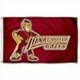 thumbnail image 3 of Iona College Gaels University Grand Drapeau Universitaire, 3 of 4